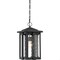 Quoizel Everglade Outdoor Hanging Lantern EVG1911EK - alternate 1